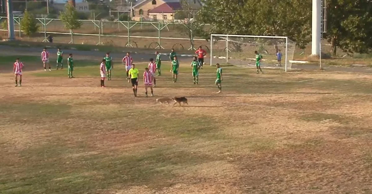 Şəmkir və Kür-Araz komandalarının oyununda kuryoz hadisə olub