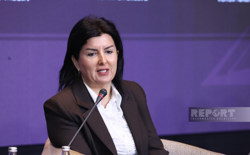 Təhsil İnstitutu: Süni intellektin inkişafı ilə peşələrin sıradan çıxacağı ehtimalı narahatlıq doğurur