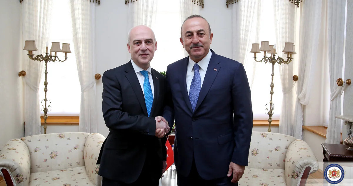 Georgian, Turkish FMs to meet today