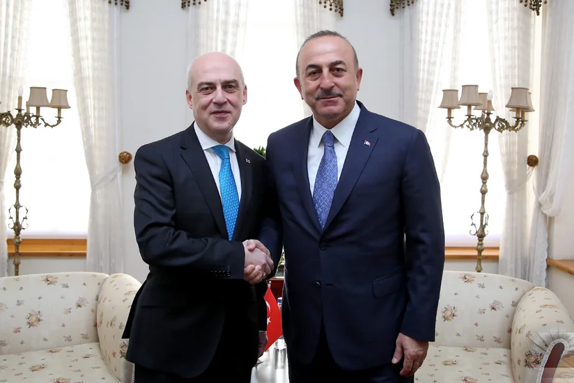 Georgian, Turkish FMs to meet today