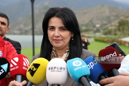 Suqovuşan qəsəbəsindəki istirahət parkında 5 minə yaxın ağac və kol əkilib