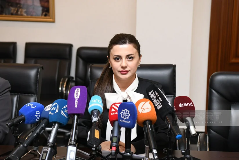 Pərvanə Vəliyeva: Azərbaycanın QHT sektorunda son illər ixtisaslaşma güclənib