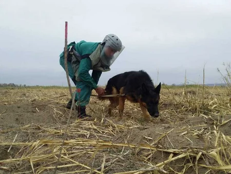 Qaradağda mina hadisəsi baş verib, 1 nəfər xəsarət alıb