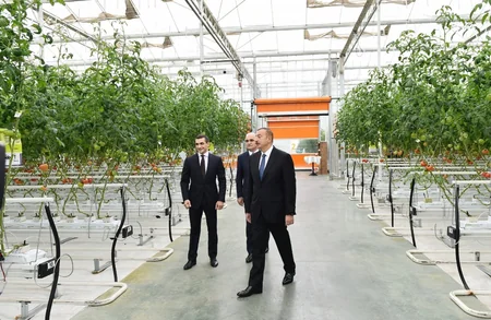 Prezident İlham Əliyev Zirə qəsəbəsində “BAKU AGROPARK”da görülən işlərlə tanış olub