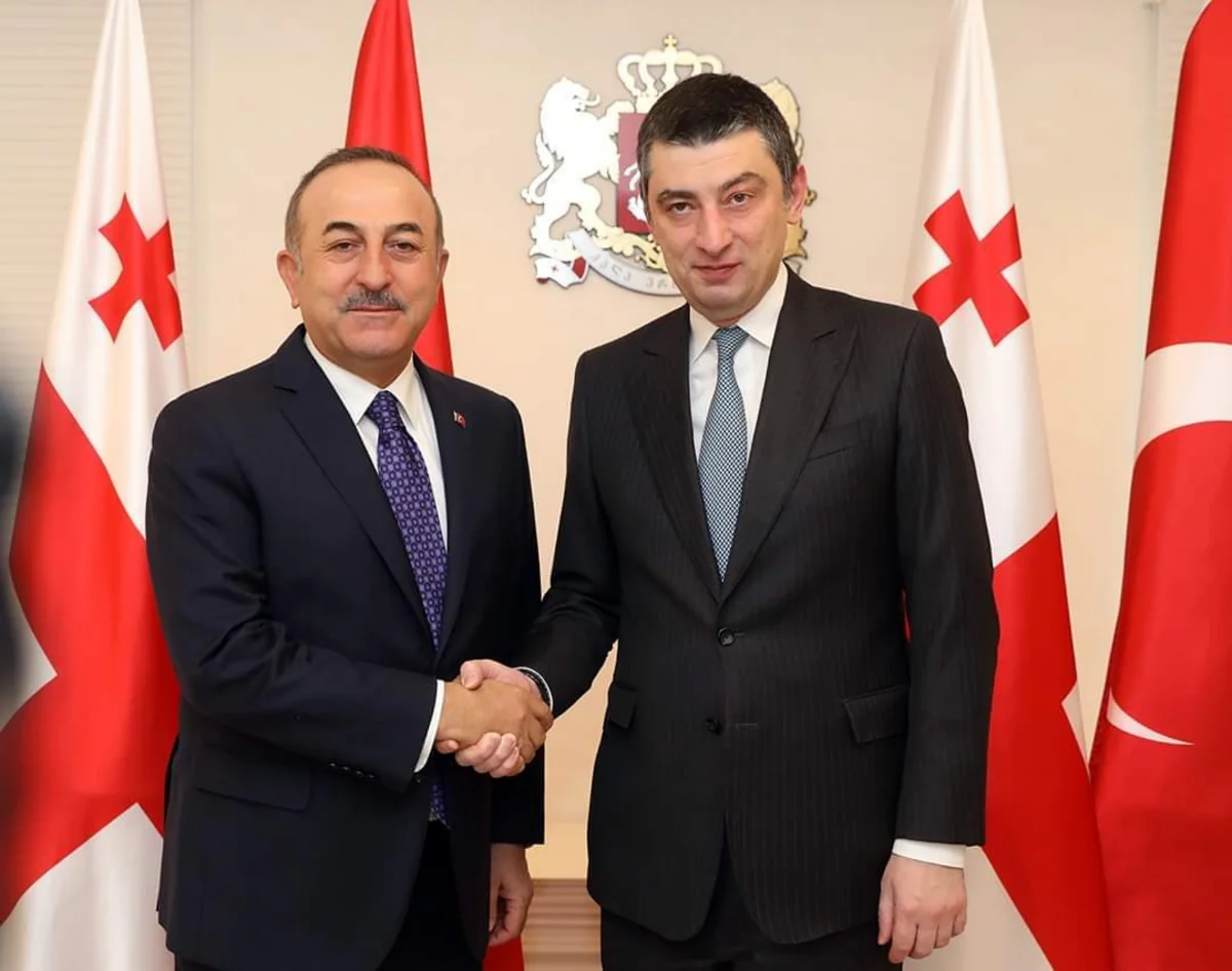 Gürcüstanın baş naziri Türkiyənin XİN başçısı ilə BTQ-nı müzakirə edib