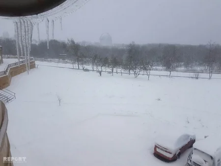 Сильный снегопад в Шамахе нанес ущерб цветущим фруктовым деревьям - ФОТО