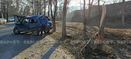 В Шеки автомобиль врезался в дерево, есть пострадавшие