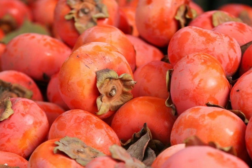 İmişlidə xurma yığımına başlanılıb, məhsul xeyli ucuzlaşıb 