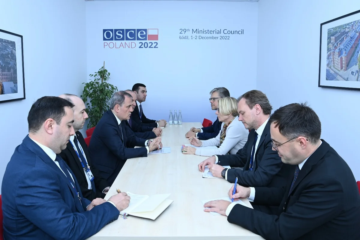 Foreign Ministers of Azerbaijan and Switzerland discuss issues of regional security
