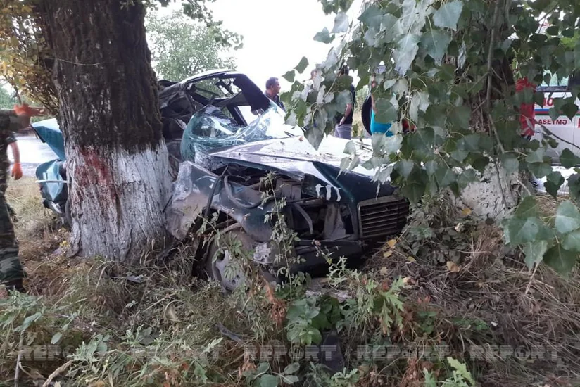 В Губе автомобиль врезался в дерево, есть погибшие