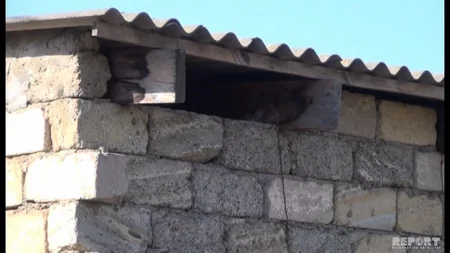 Cəlilabadda eyni dükandan ikinci dəfə oğurluğa cəhd olub - FOTO