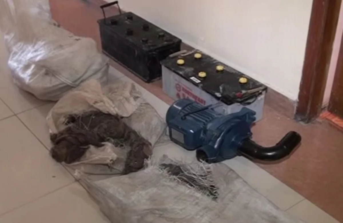 Bərdədə kabel oğurluğu ilə məşğul olan dəstə yaxalanıb