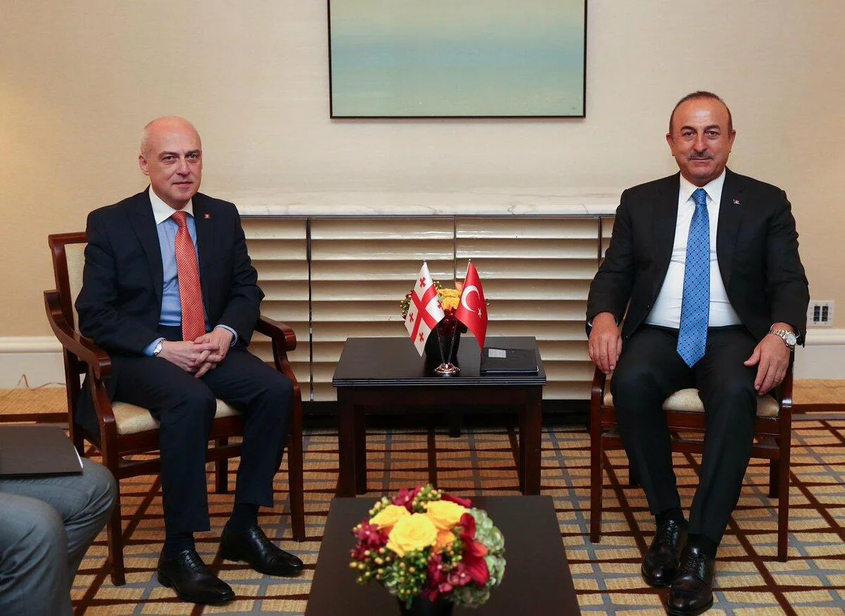 Turkey, Georgia mull security in South Caucasus