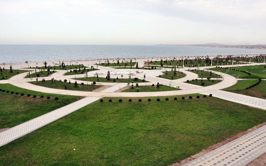 Sumqayıt ŞİH vergi borcu olan şirkəti 2 milyon manatlıq tenderdə qalib elan edib