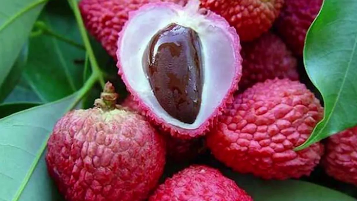 Bu meyvəni yeyin, təzyiqdən xilas olun