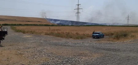 Göyçayın 3 kəndində 100 hektara yaxın otlaq və taxıl sahələri yanır