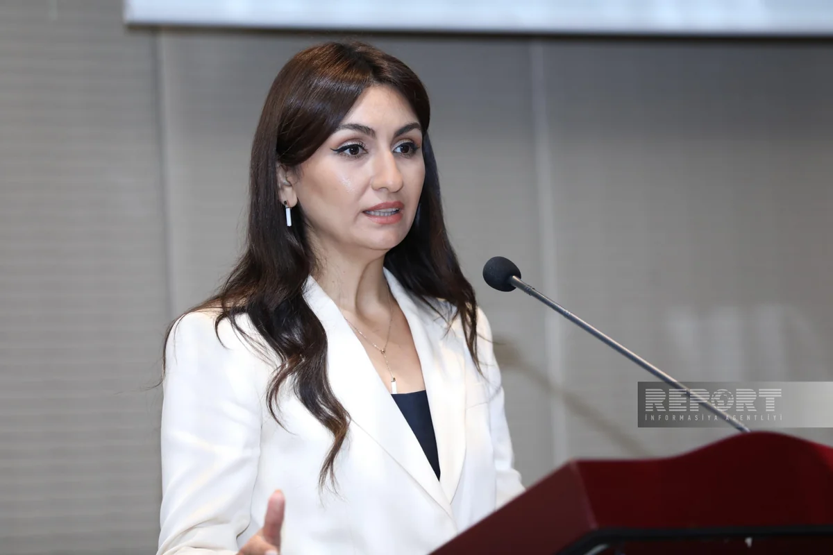 Samirə Musayeva: Əmtəəsiz əməliyyatlar vasitəsilə maliyyə cinayətləri törədilir