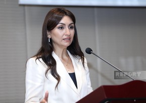 Samirə Musayeva: Əmtəəsiz əməliyyatlar vasitəsilə maliyyə cinayətləri törədilir 