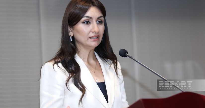 Samirə Musayeva: Əmtəəsiz əməliyyatlar vasitəsilə maliyyə cinayətləri törədilir 