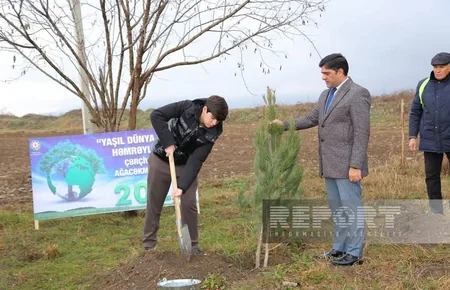 “Yaşıl dünya naminə həmrəylik ili” çərçivəsində Oğuzda 10 300 ədəd ağac əkilib