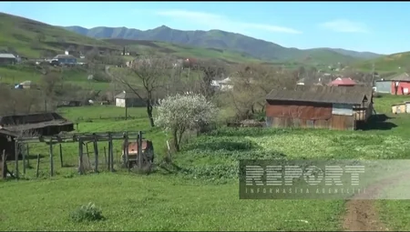 Cəlilabadda 3 gün əvvəl itkin düşən qadının anası: Qızım hamilə olanda əri onu dilənçiliyə məcbur edib