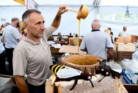Bakıda alıcı gözləyən bal yarmarkasından - REPORTAJ