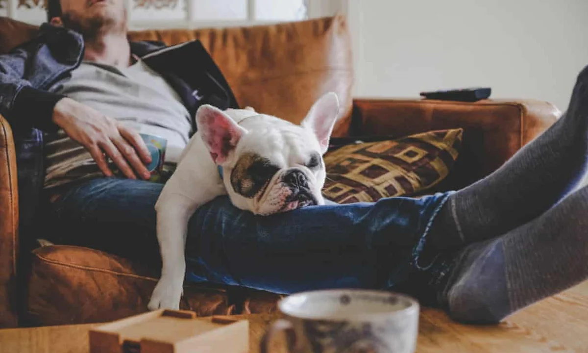 Almaniya universiteti avaralıq üçün 1 600 avro qrant verir