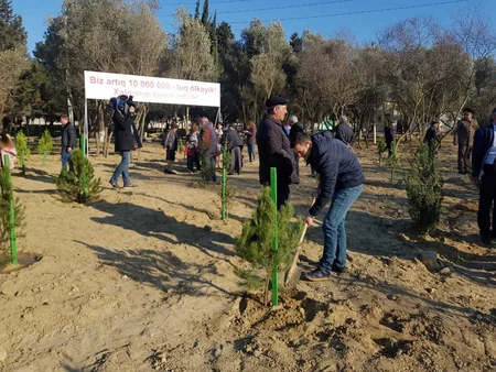 Ağacəkmə aksiyaları zamanı Bakıda 3050, rayonlarda 21770 ağac əkilib