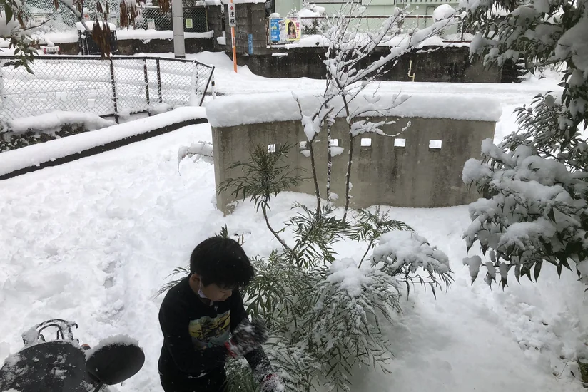 В Индии по меньшей мере 11 человек погибли из-за снегопада