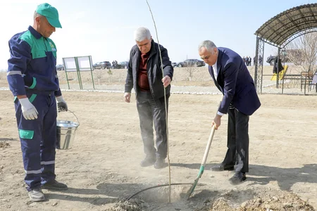 Naxçıvanda 118 mindən çox tingin əkilməsi, 58 hektarda isə yeni bağların salınması nəzərdə tutulub
