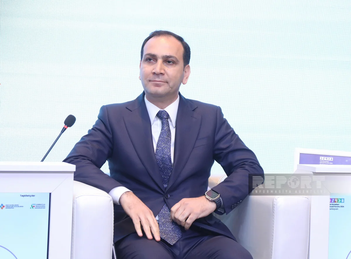 Naxçıvanda alternativ enerji istehsalı üçün ayrılan sahənin həcmi açıqlanıb