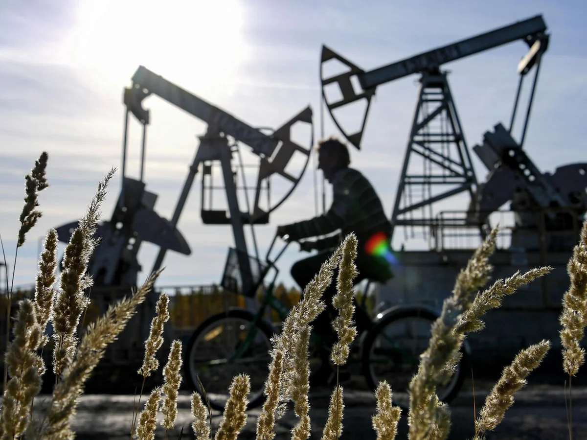 Niger ölkənin şərqində neft və qaz kəşfiyyatına başlayıb