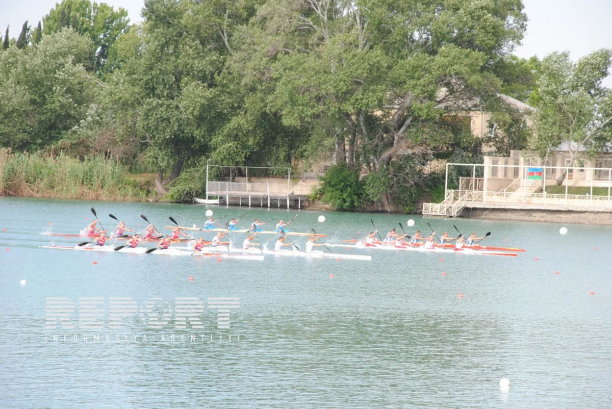 ​Azərbaycan avarçəkəni birbaşa finala çıxıb
