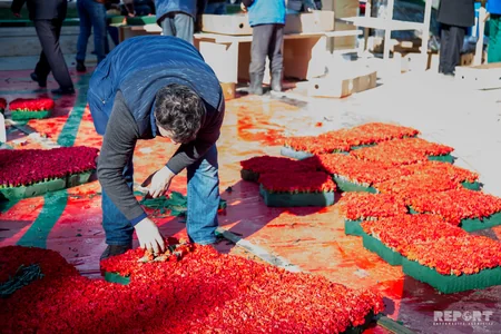 Preparations are underway in Martyrs' Alley - PHOTO