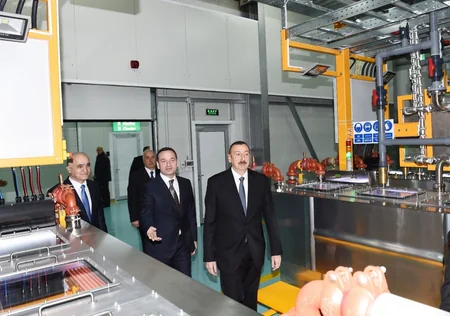 Azərbaycan Prezidenti Sumqayıt Kimya Sənaye Parkında olub