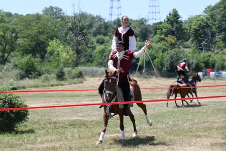 Karabakh horse named “Dostlug” presented to Gurbanguly Berdimuhamedov at Jidir Duzu plain
