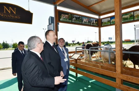 Prezident İlham Əliyev Beynəlxalq qida sənayesi və kənd təsərrüfatı sərgiləri ilə tanış olub