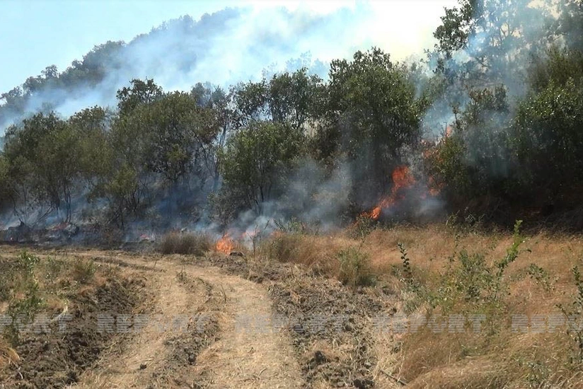 Şəkidə dağlıq ərazidə yanğın olub