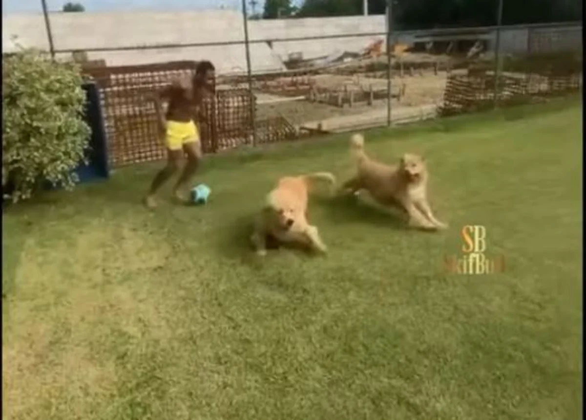 Neymar itləri ilə məşq etdi - VİDEO