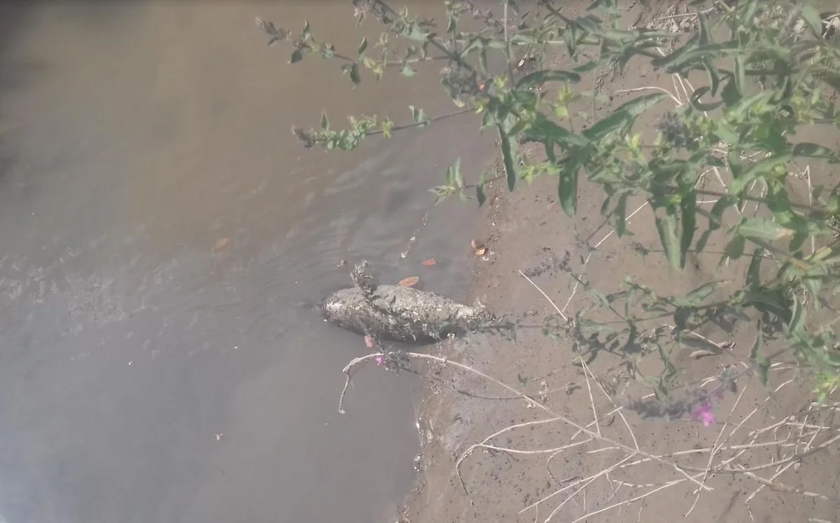 Füzulidə su kanalından partlamamış tank mərmisi tapılıb