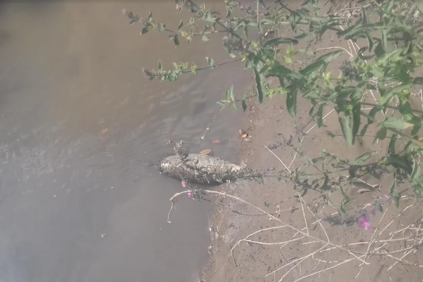 Füzulidə su kanalından partlamamış tank mərmisi tapılıb