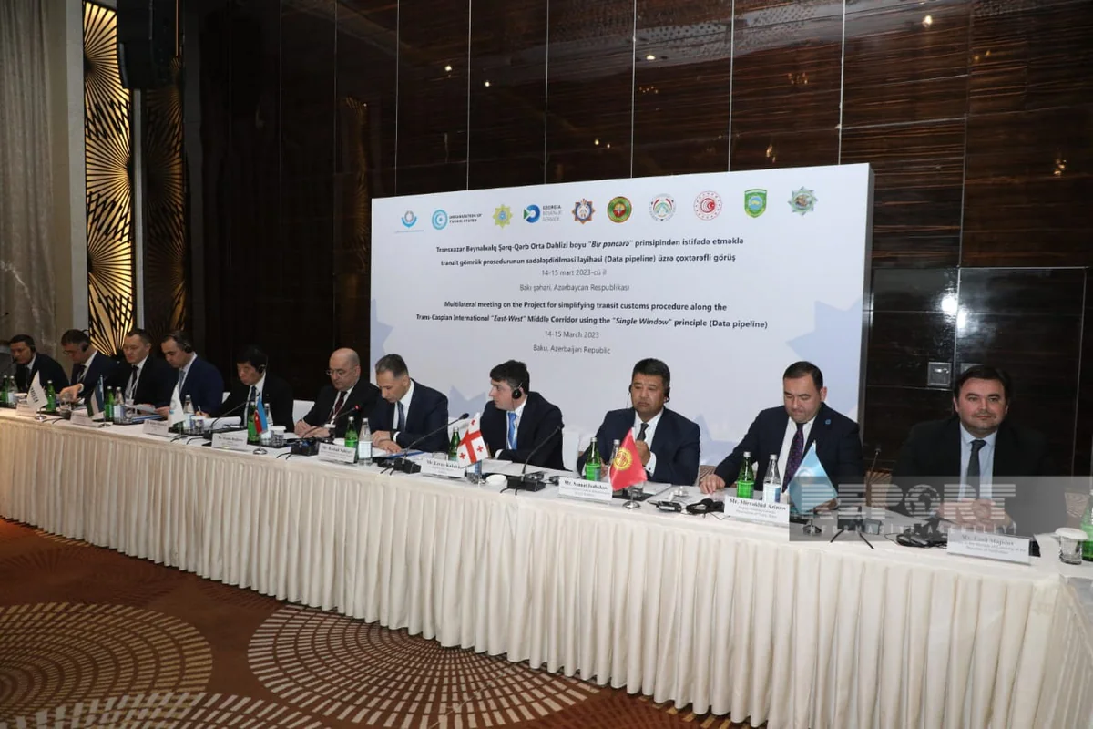 Azerbaijan, Georgia may create joint customs and border checkpoints