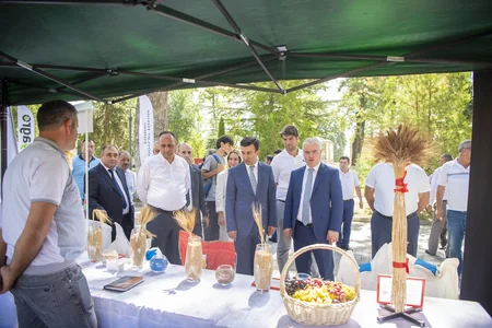 İsmayıllıda toxum sərgi-satış yarmarkası keçirilib