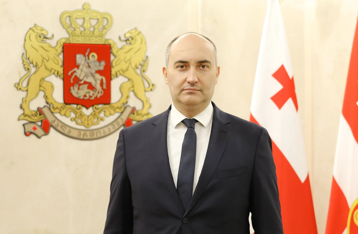 Georgian minister: Stable Azerbaijan is vital for regional security