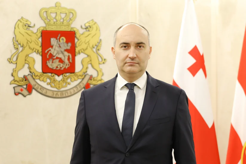 Georgian minister: Stable Azerbaijan is vital for regional security
