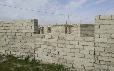 Asan qazanc hərisliyi COVID-19-dan daha yaşlı və qorxuludur - ARAŞDIRMA
