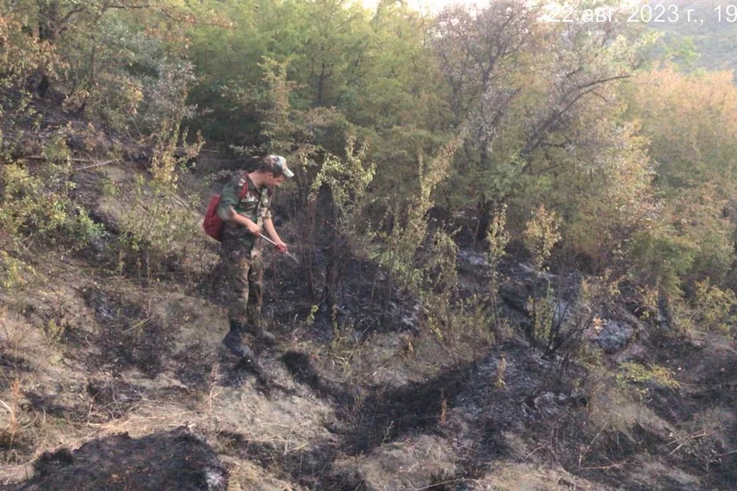 В Агсу в горной местности начался пожар