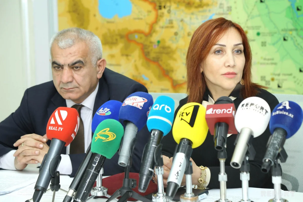 İradə İbrahimova: Milli Meşə Proqramının ilkin layihəsi hazırdır