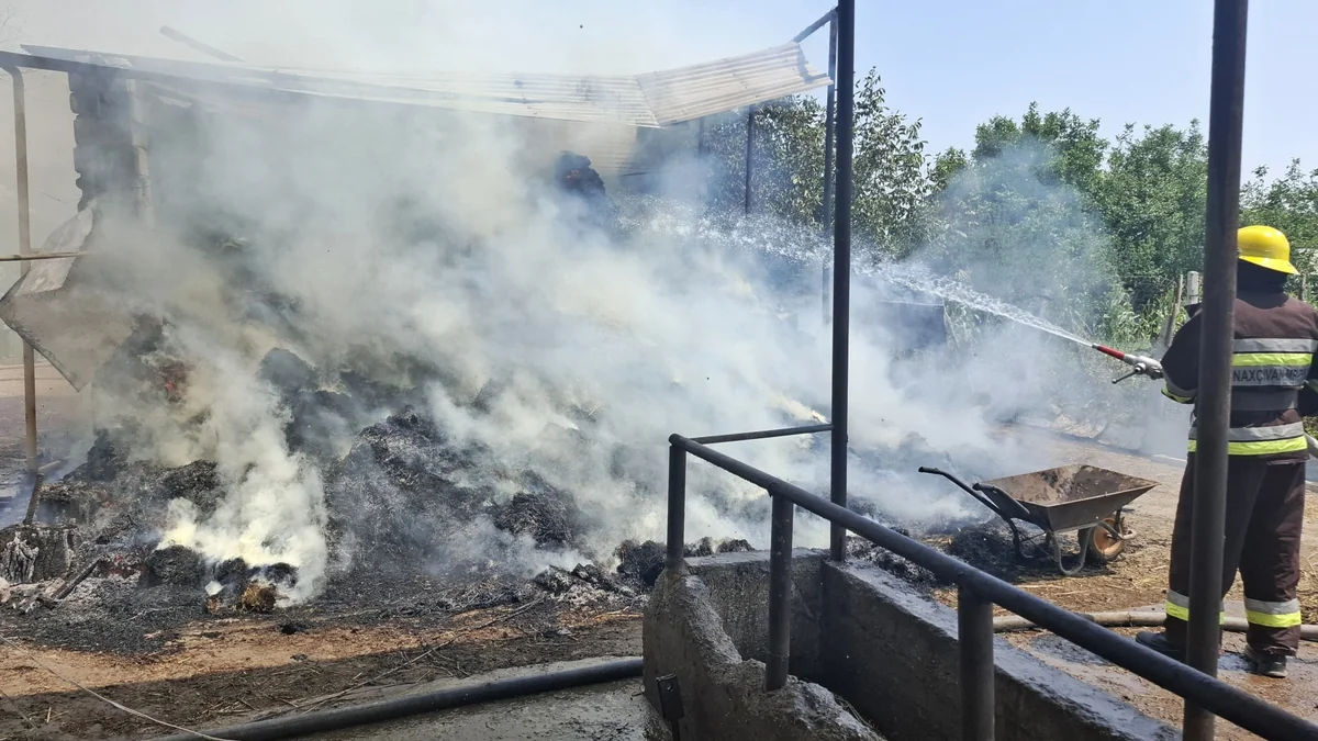 Şərurda 16.5 ton ot bağlaması yanıb