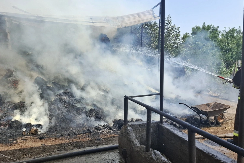 Şərurda 16.5 ton ot bağlaması yanıb